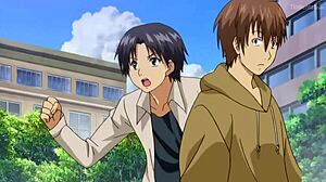 Harem time the animation features detailed hentai sex scenes.