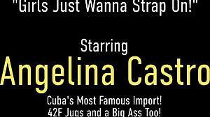 busty lesbians mone divine angelina castro strap on fuck in florida caribbean