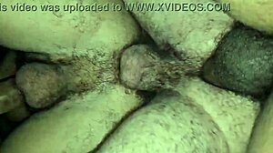 Hot sheer sex with doorman and friend in apartment