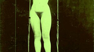 hey, wanna join my secret vintage swingers club from the old days?