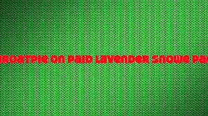 She Barely Handles My Giant Cock Deep Inside