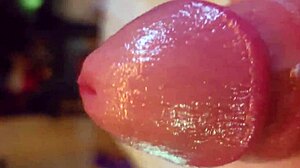 Close up of a solo amateur masturbator in the USA