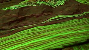 Worship this ebony goddess's ass!