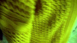 Hot Secretary In Tight Jeans Teases Ass With Visible Panty Line