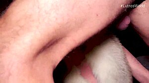 Victoria Wet's big tits bounce in sensual POV blowjob with fur collar.