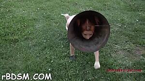 in this bondage scene, she gives a blowjob while bound tightly