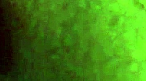 amazing strokes from bbc close up fat couple ebony missionary big cock amazing cock amateurs big black cock