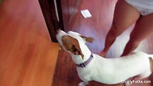 Christy Mack & Nick Manning Bts, Big Tits Ass Pussy Brunette Pov Facial Hardcore Pornstar Cumshot Tits