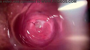 Camera Inside My Horny Creamy Pussy Close Up Roleplay Gaping Wet Vagina