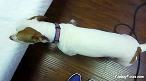 Christy Mack & Nick Manning Bts, Big Tits Ass Pussy Brunette Pov Facial Hardcore Pornstar Cumshot Tits