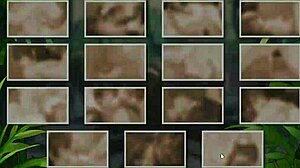 Watch this gay femboy porn video