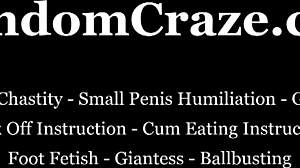 Mistress humiliates fat slave with ball kicking in bdsm