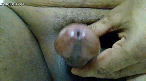 Watch tikto birokto wank in the morning?