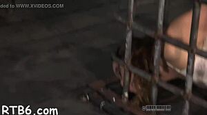 Sadomasochism Videos with Sloppy Blowjobs and Bound Fucking