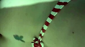 Trans Sucks Big Dick Passionately