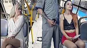 Worker pulls out his dick on the bus.