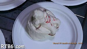 Nasty Couple's Rough Bondage Whipping and Doggystyle Fuck