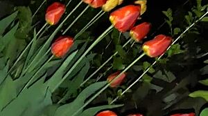 invited neighbor for flowers then fucked her mouth with cum in abandoned house?