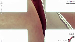 3D Simulation Girl In Japanese Anime Style