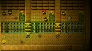 Harem Game: Seducing the Popular Girl