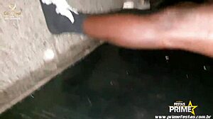 Morena gostosa joins a lively group gangbang with brunette banging