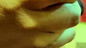 mateur malaysian girl sucks and fucks on bed with curvy body