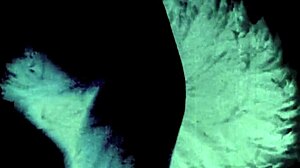 Yo, ever heard vintage taboo family confessions from a Victorian gentleman?