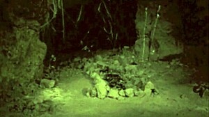 Vintage Halloween porn with hairy pussy in retro style