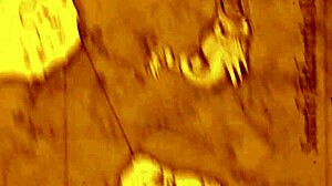 vampire queen subtly submits to the powerful big black cock dominating her in anime style