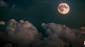 Nerdy Girl Possessed By Demon! Fucks Bitches With Monster Cock!