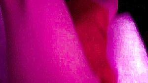 Condom Breaks During Intense Anime Scene