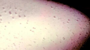 Fucked Stranger In Hot Tub