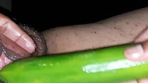 Sexy Indian Wife Teases With Oiled Pussy And Naughty Cucumber Play