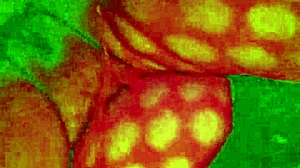 angelg and kuzz in halloween special part 2