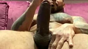 viktor rom humiliates with bbc play