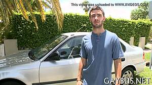 Free Homosexual Sex Photos