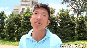 homosexual video sex scenes with gay encounters