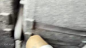 German milf risks a daring blowjob in a crowded travel bus without getting caught.