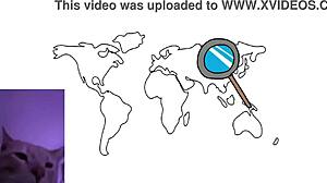 Top 5 countries with the loudest stomach rumbles