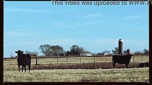 ugh, i meant oklahoma farm banging in this weird crossdressing vid, my bad!