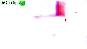 Can You Handle This Trap HMV Compilation?