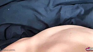 Didnt you walk the dog so you will be punished