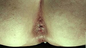 Are you full yet with this wild bondage?