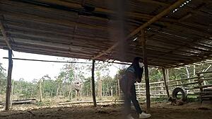 widowed stepmother checks out the farm her husband left behind.