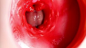 this beautiful pussy is pulsating and squeezing my cock camera inside the hole