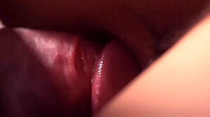 I observed the detailed macro lens footage of a couple in an intimate position