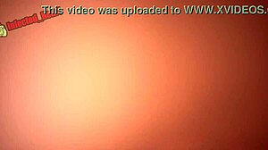 Rin Tohsaka Shorts Compilation 1