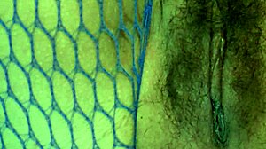 Hey Stepson, Why Sneak into My Bedroom for My Mature Hairy Pussy?