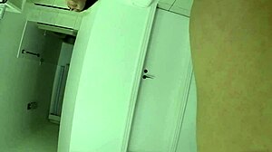 Two Cats Sucking And Wanting Milk