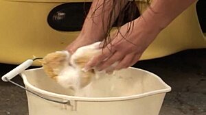 Cytherea gets bent over and fucked hard in canoe